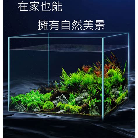 正方形魚缸|多彩雲水族⛅精品魚缸《超白 立方缸 / 45 × 45 ×。